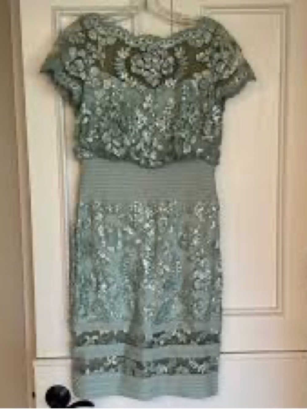 Tadashi Shoji Sage Green Embroidered Midi Cocktail Dress